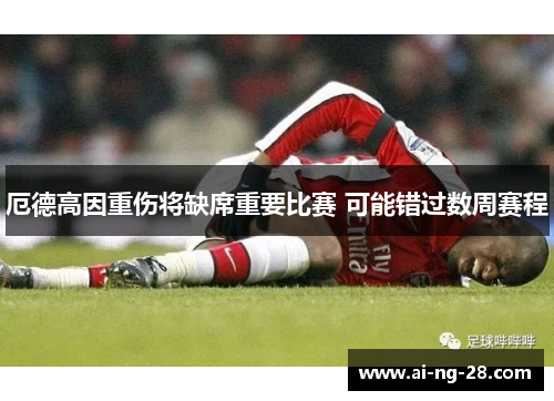 厄德高因重伤将缺席重要比赛 可能错过数周赛程 厄德高因重伤将缺席重要比赛 可能错过数周赛程